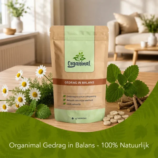 Gedrag In Balans – Katten