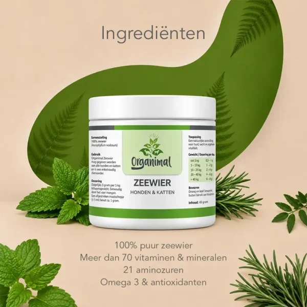 Organimal Zeewier – Katten