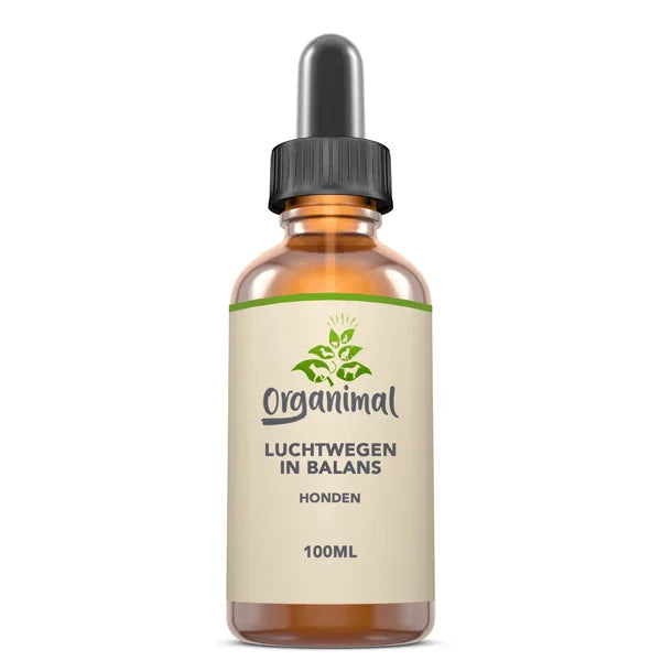 Luchtwegen in Balans – Honden