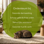 Organimal Zeewier – Katten