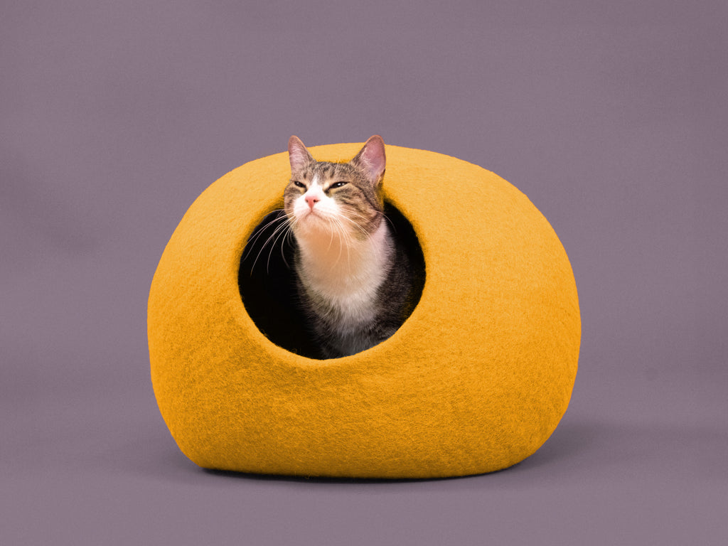 Risa kattengrot