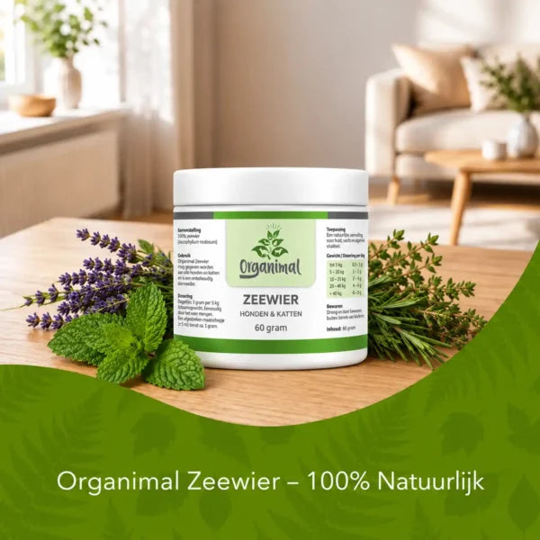 Organimal Zeewier – Katten
